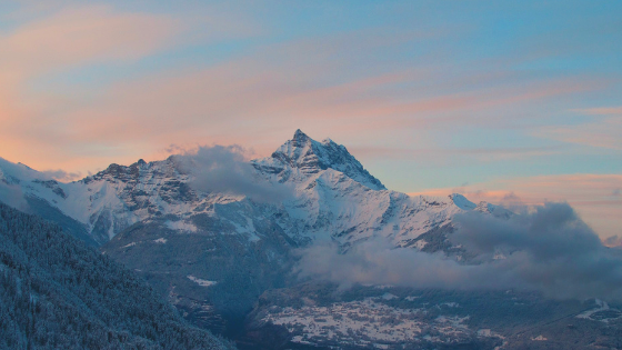 Blog banner