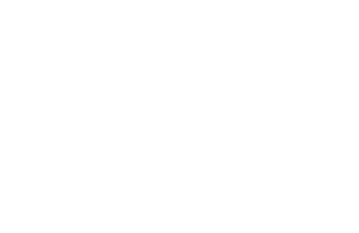 LSI Logo. White-1