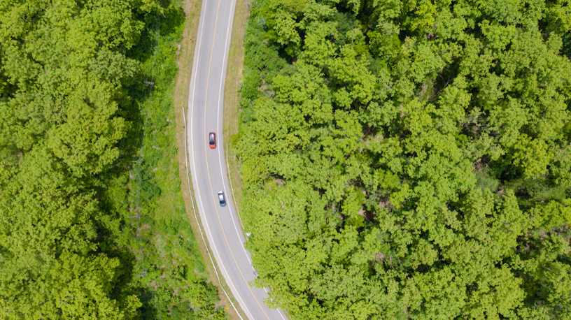 Green-line growth S4 HANA-1