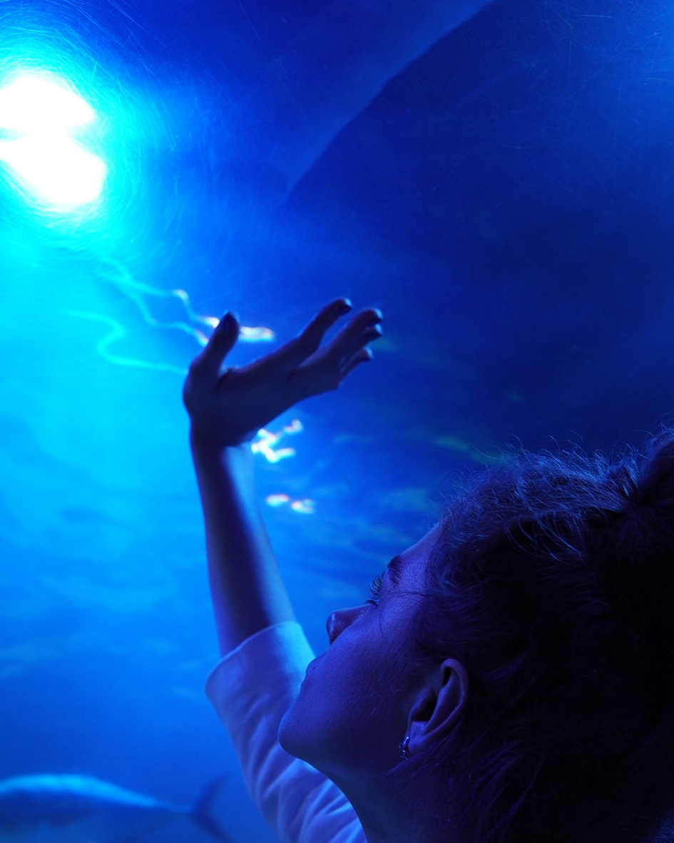 AI Business Expertise 