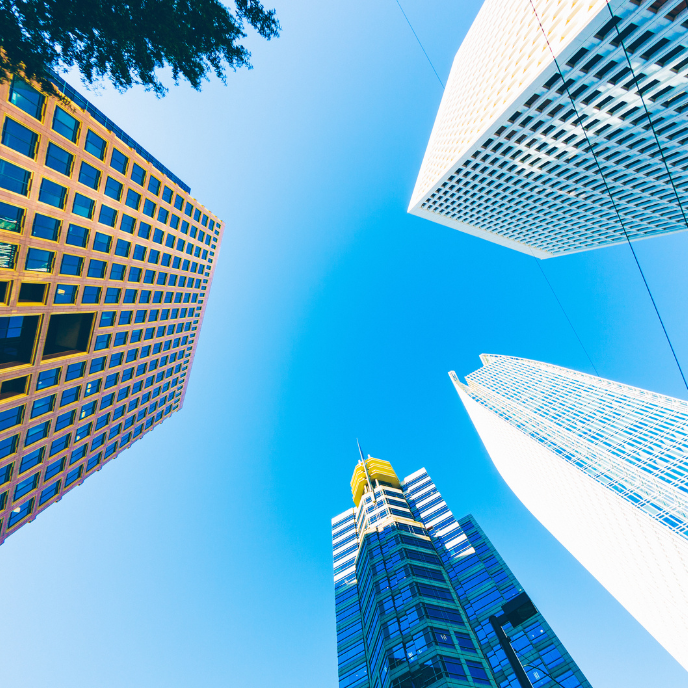 Rise-with-SAP-Public-Sector Rise-with-SAP-Public-Sector