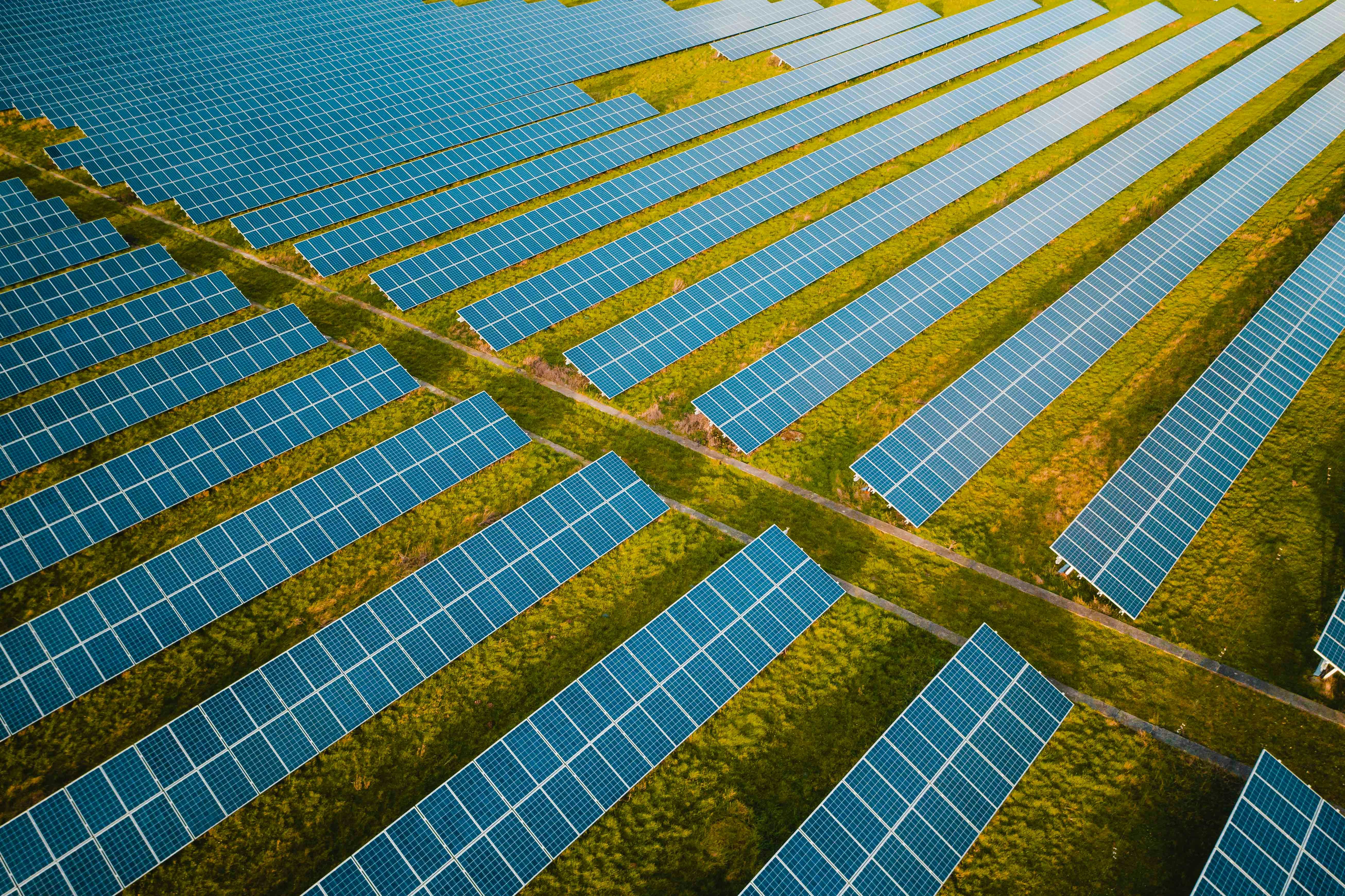 benoit-deschasaux-cVpYIxEIqCo-unsplash