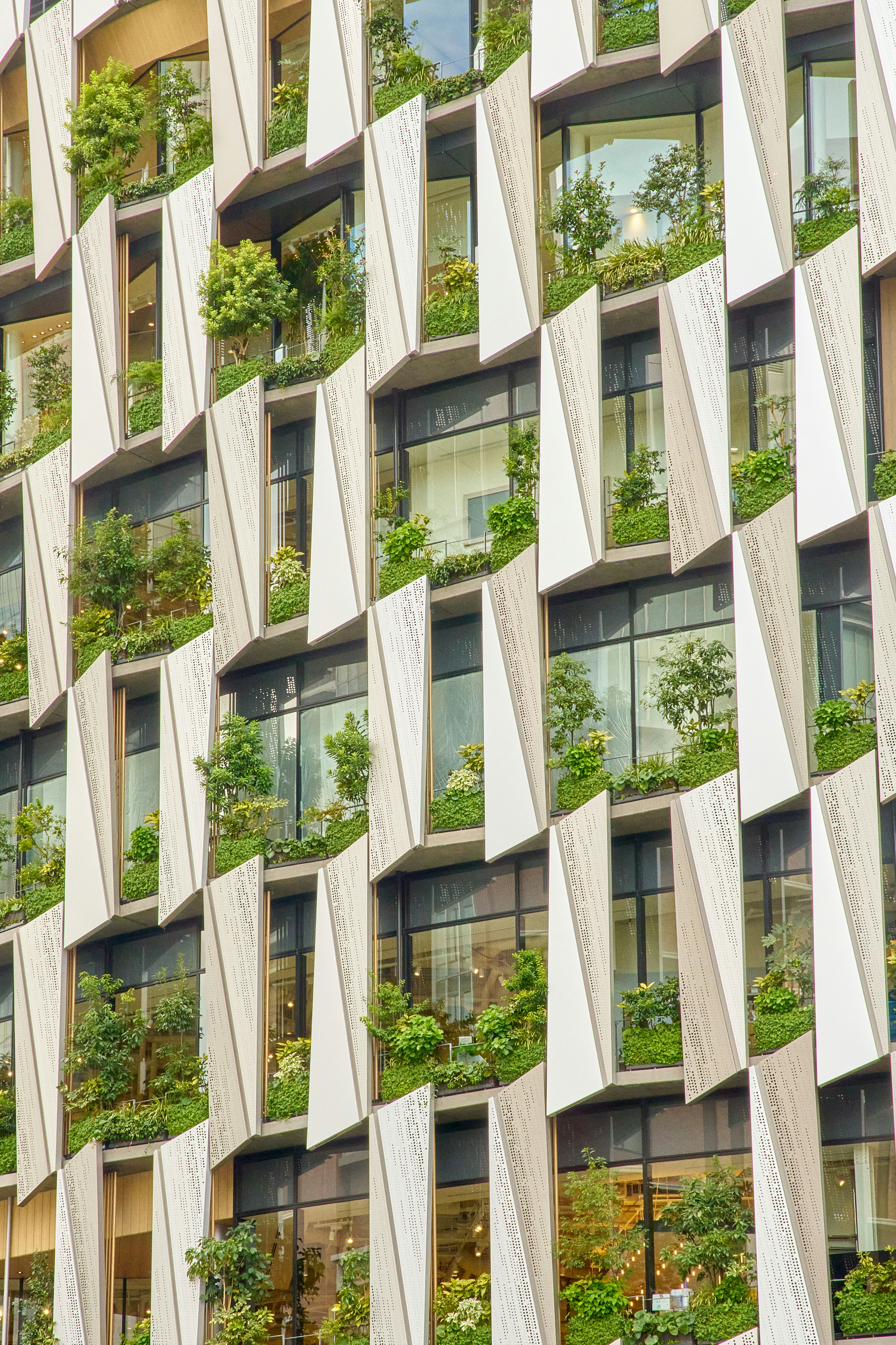 buddy-an-W_DG7qP-1G4-unsplash